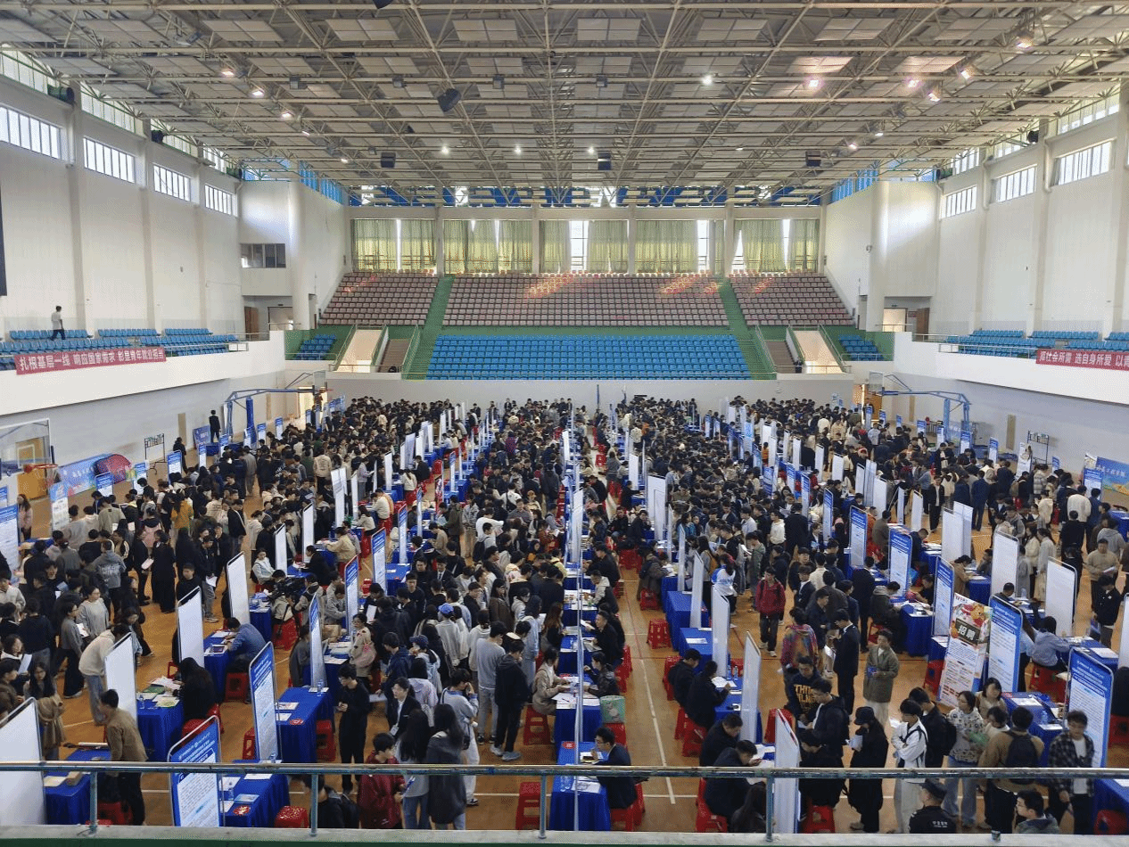 赋能启航 精准助跑——招生就业处党支部开展“助力毕业生求职”主题党日活动